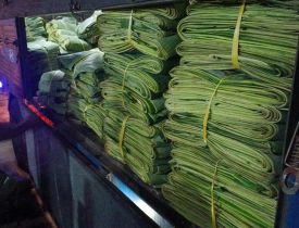 Lá chuối tươi