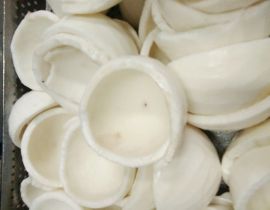 Cơm dừa