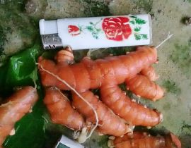 Củ nghệ đỏ